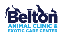 Belton Animal Clinic & Exotic Care Center
